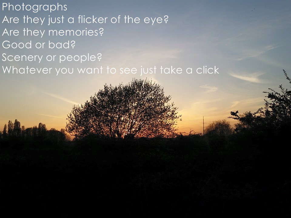 Laugh, Learn, and Connect with QuotePoem 45 Laugh, Learn, and Connect with QuotePoem 45